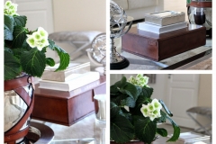 hortensia1